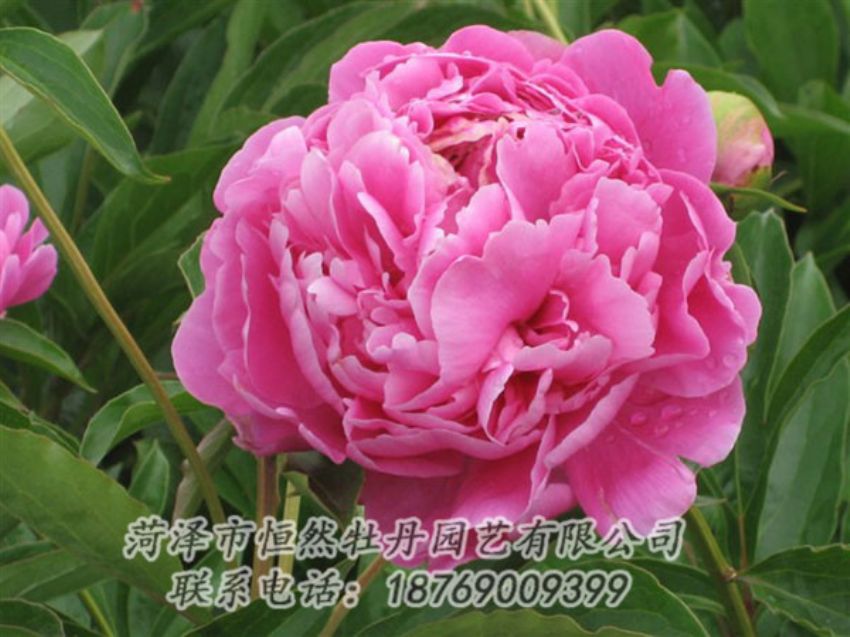 點擊查看詳細信息<br>標題：月照山河 閱讀次數(shù)：1076